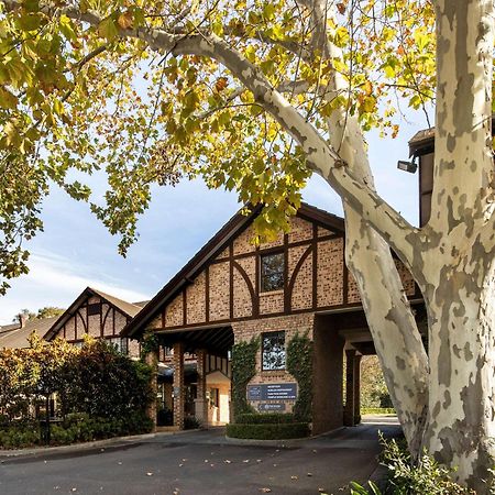 Peppers The Hills Lodge Castle Hill Exterior foto
